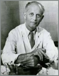 ハンス・セリエ